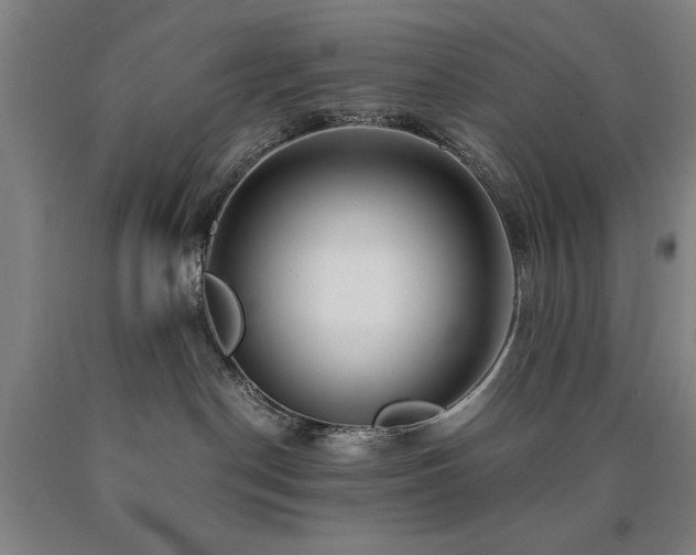 X0000090900190200707301421