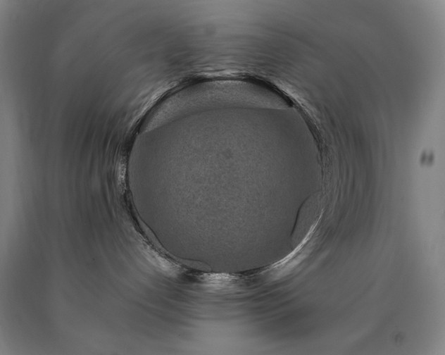 X0000090900192200707301421