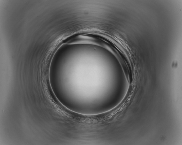 X0000090900193200707301420