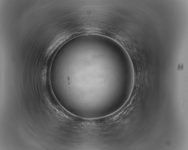 X0000090900194200707301420