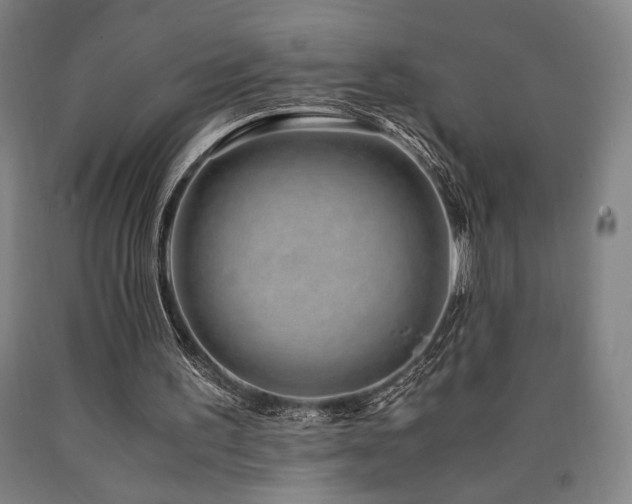 X0000090900195200707301420