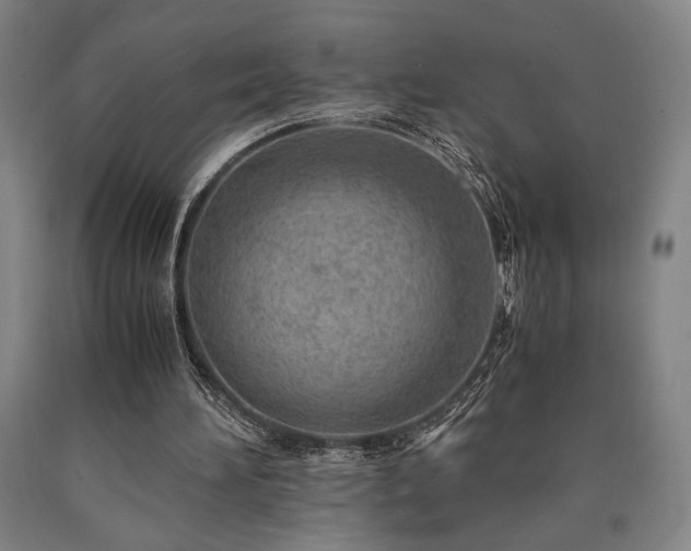 X0000090900196200707301420