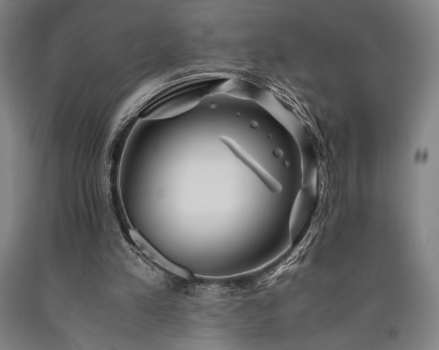 X0000090900197200707301420