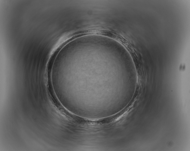 X0000090900198200707301420