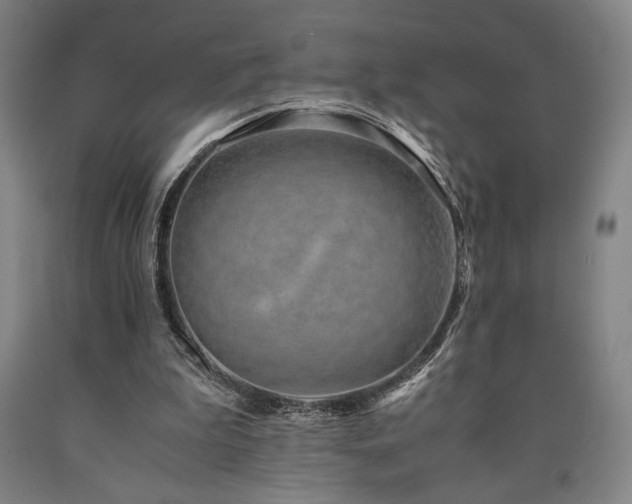 X0000090900199200707301420
