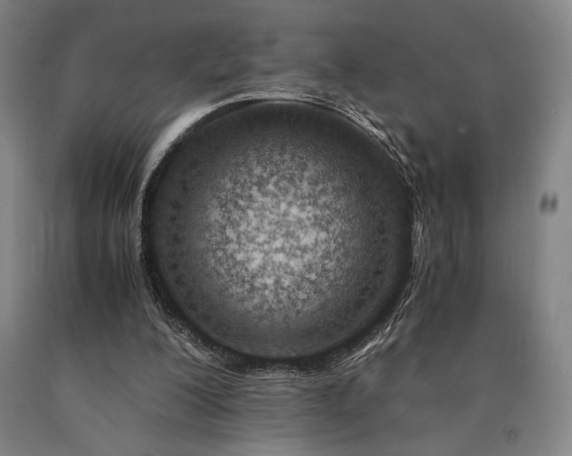 X0000090900200200707301420