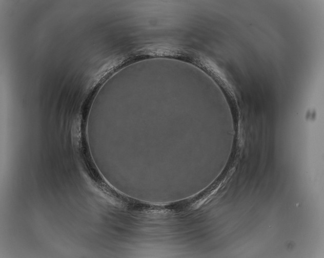 X0000090900202200707301420