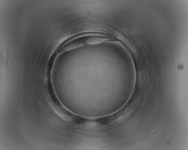 X0000090900203200707301420