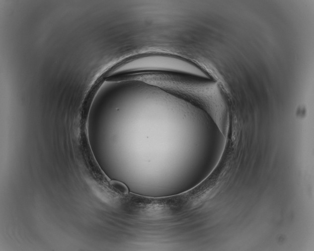 X0000090900204200707301420
