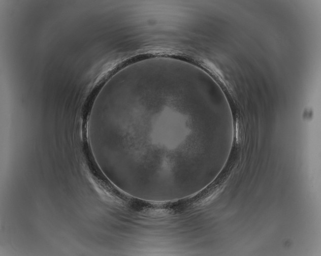 X0000090900205200707301420