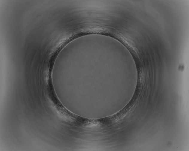 X0000090900206200707301420