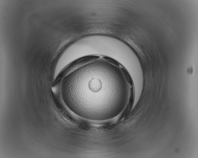 X0000090900207200707301420