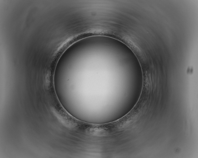 X0000090900208200707301420