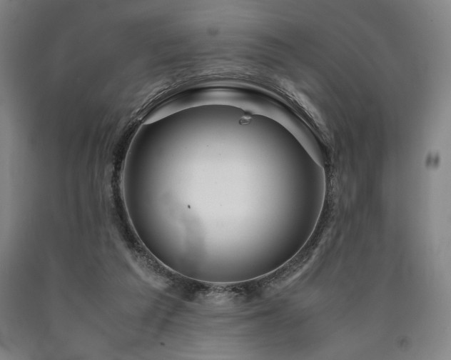 X0000090900209200707301420