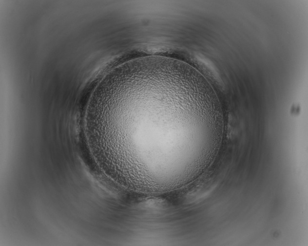 X0000090900210200707301420