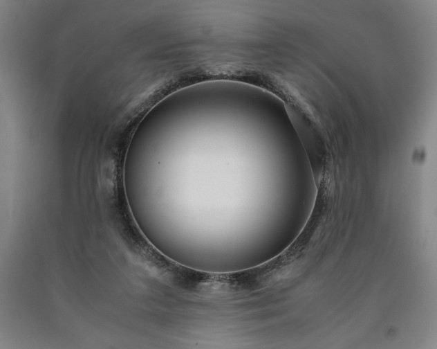 X0000090900211200707301420