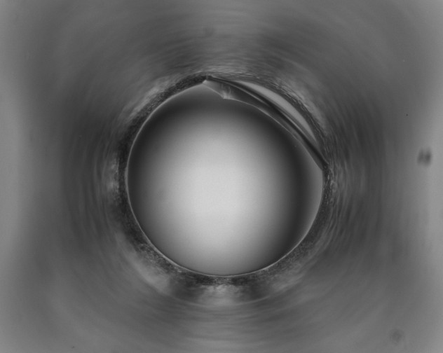 X0000090900212200707301420