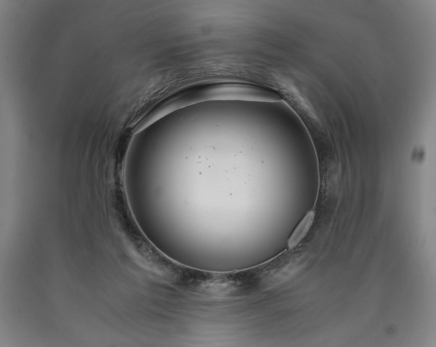 X0000090900213200707301420