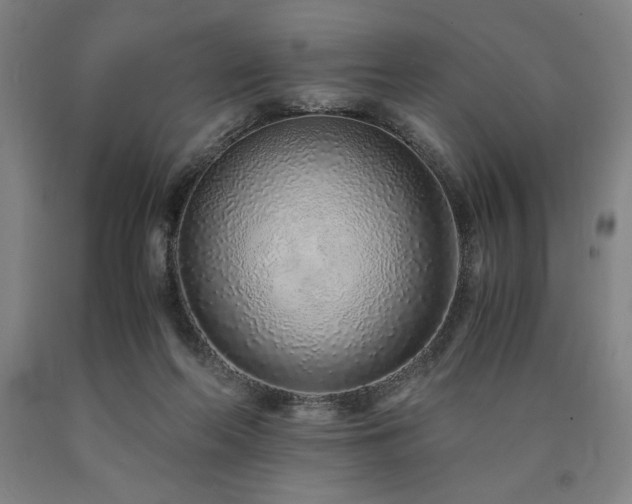 X0000090900214200707301420