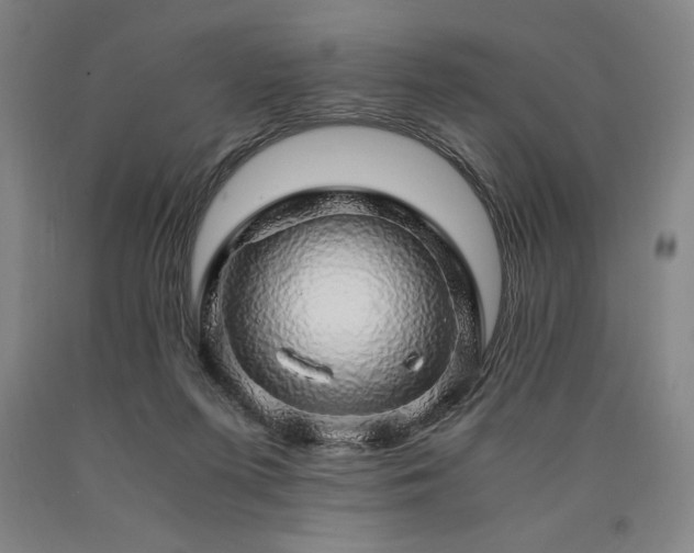 X0000090900215200707301420