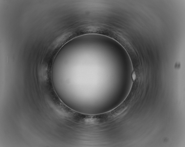 X0000090900216200707301420