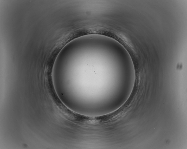 X0000090900217200707301420