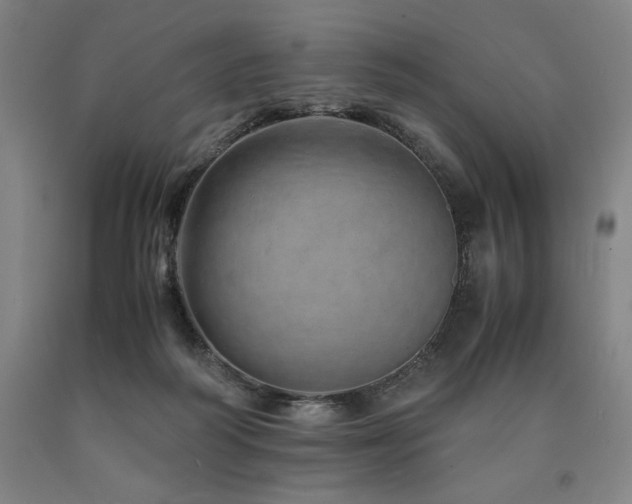 X0000090900218200707301419