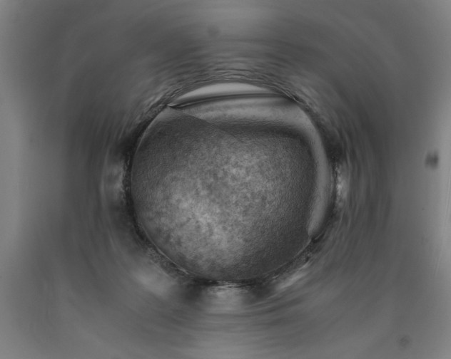 X0000090900219200707301419