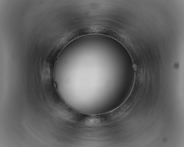 X0000090900220200707301419