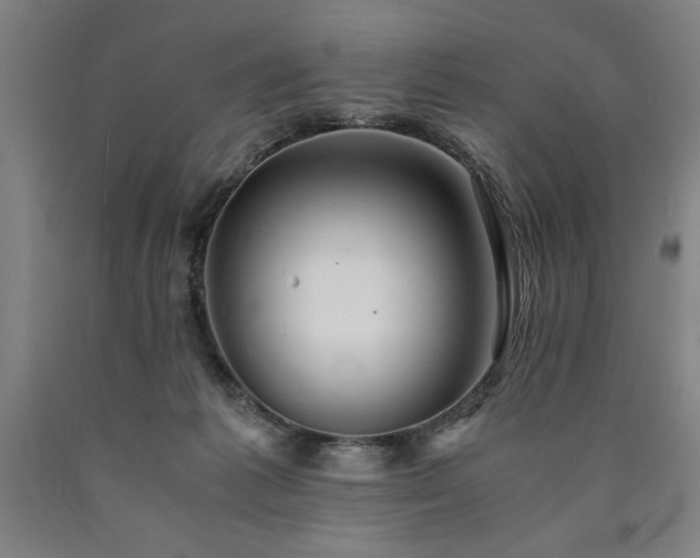 X0000090900221200707301419