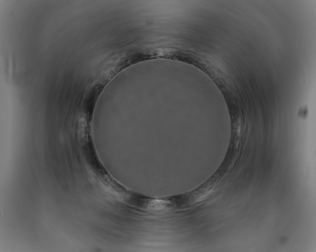 X0000090900222200707301419