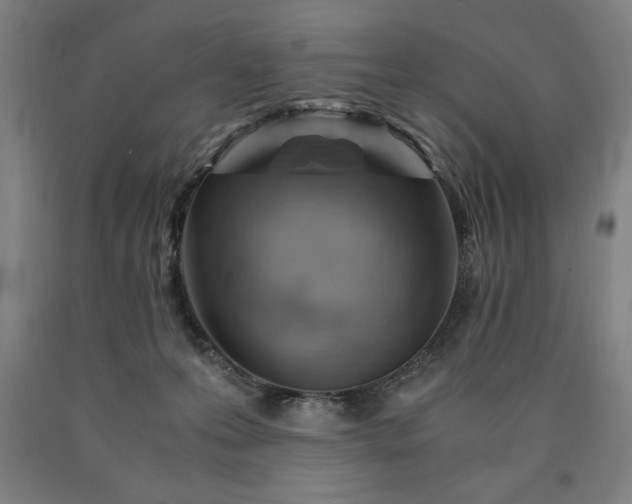 X0000090900223200707301419