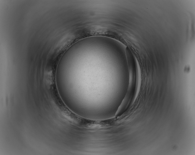 X0000090900224200707301419
