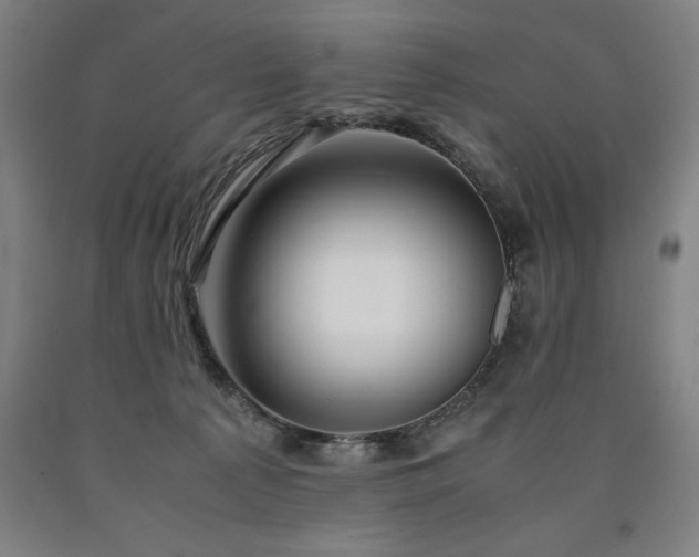 X0000090900225200707301419