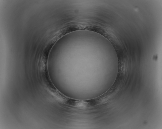 X0000090900226200707301419