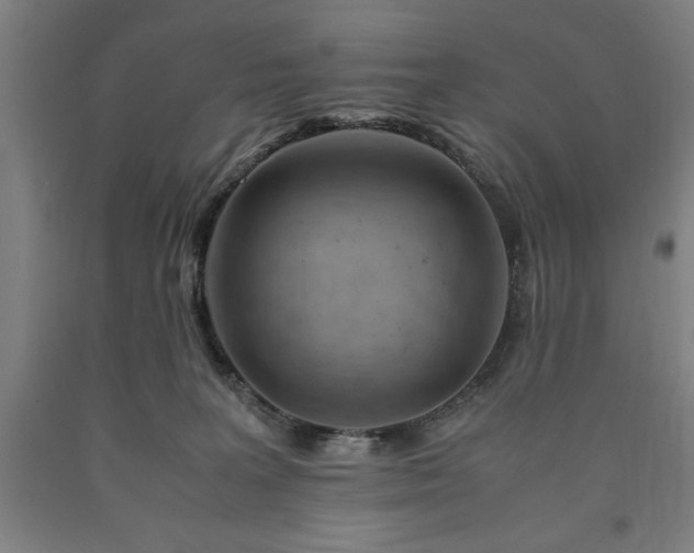 X0000090900227200707301419