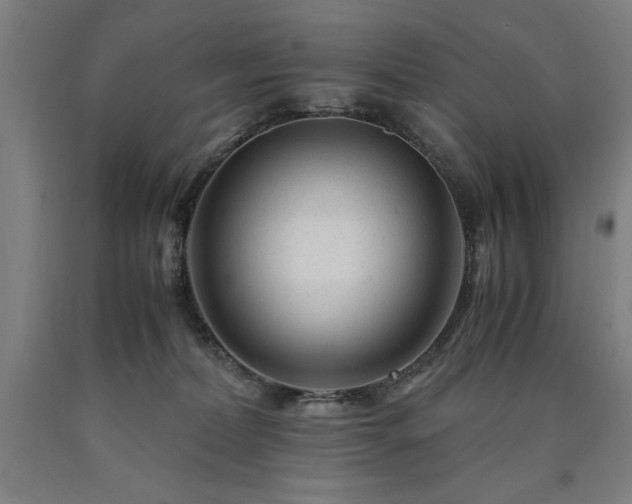 X0000090900228200707301419