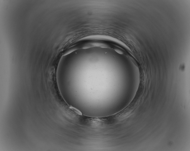 X0000090900229200707301419