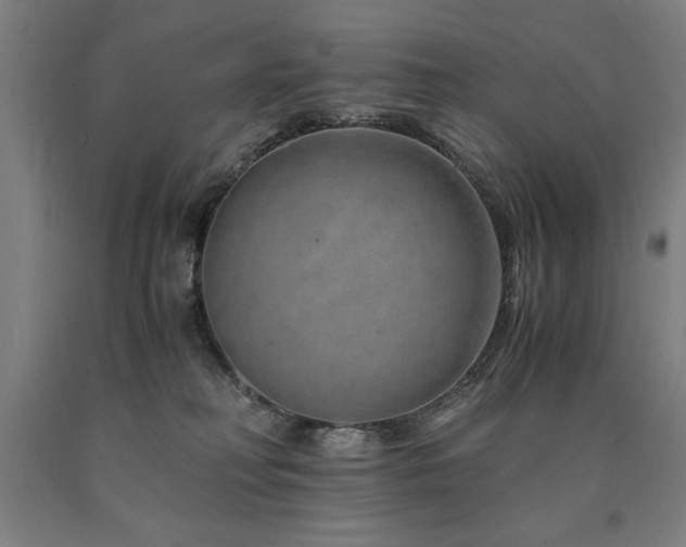 X0000090900230200707301419