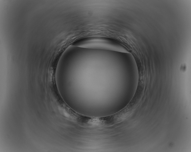 X0000090900231200707301419