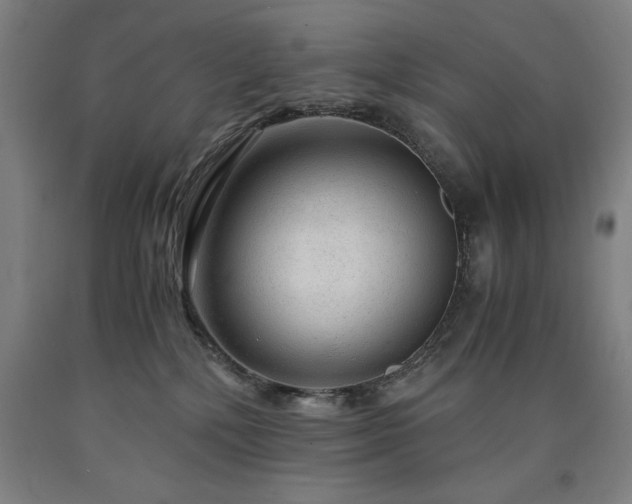 X0000090900232200707301419