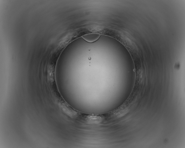 X0000090900234200707301419