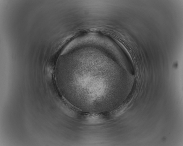 X0000090900235200707301419
