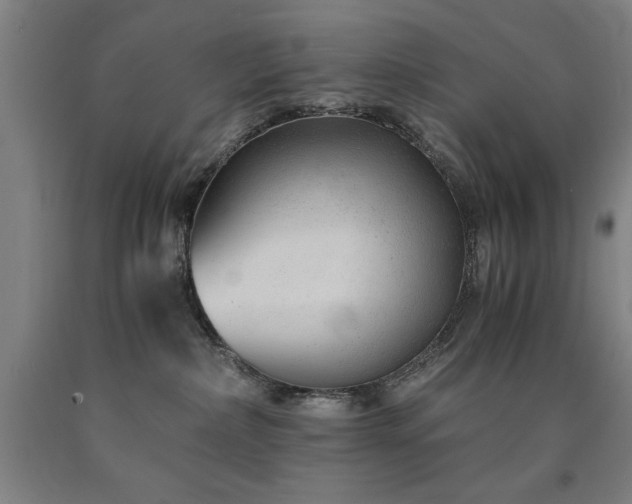 X0000090900236200707301419