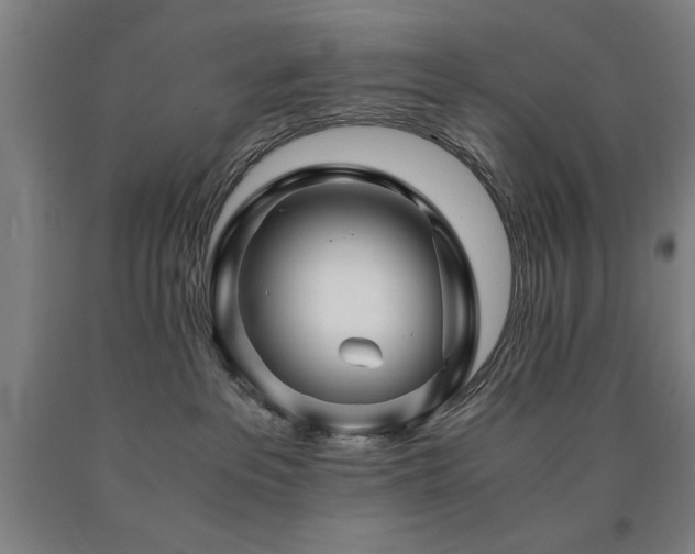 X0000090900237200707301419