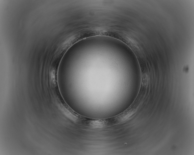 X0000090900238200707301419