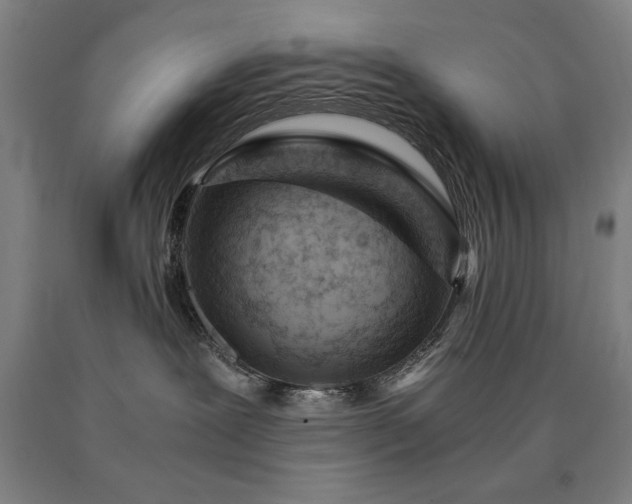 X0000090900239200707301419