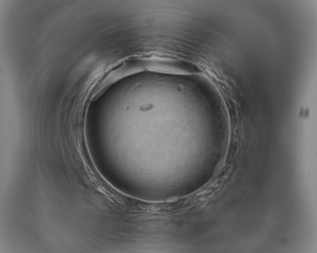 X0000090900241200707301419
