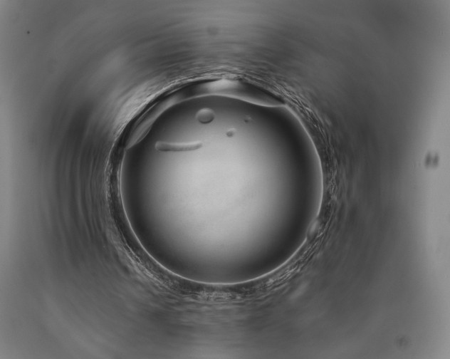 X0000090900242200707301419