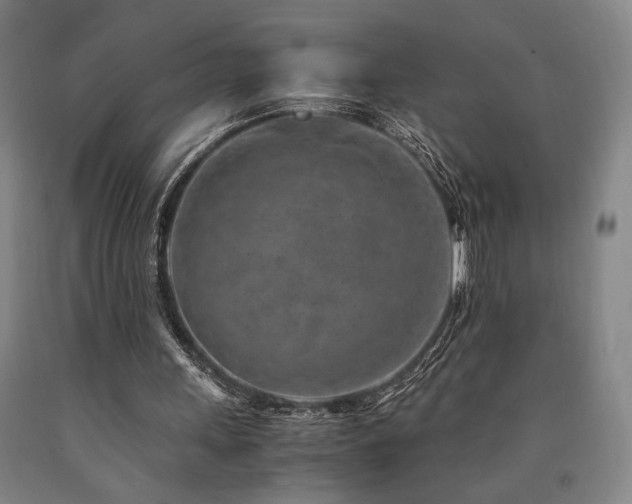 X0000090900243200707301419